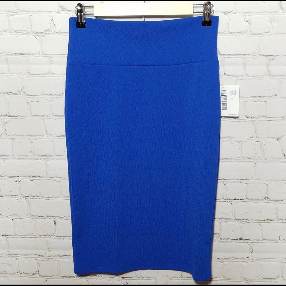 NWT Solid Blue Cassie Skirt